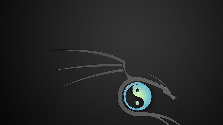 dragons, gray, yin yang, BackTrack, simple background - desktop wallpaper
