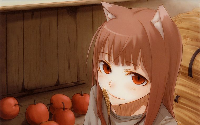 Spice and Wolf, anime, Holo The Wise Wolf - desktop wallpaper