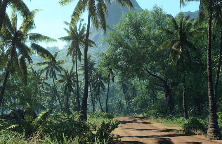 nature, roads, palm trees - desktop wallpaper