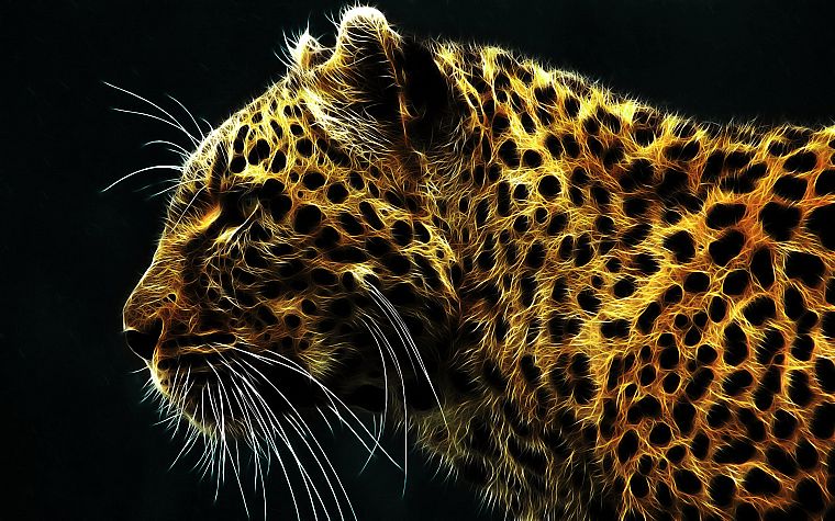 animals, Fractalius, leopards, whiskers - desktop wallpaper