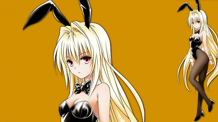 blondes, long hair, To Love Ru, Golden Darkness, animal ears, red eyes, anime girls, bunny suit, yellow background, bare shoulders - desktop wallpaper