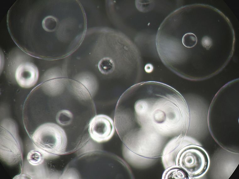 bubbles, grayscale - desktop wallpaper
