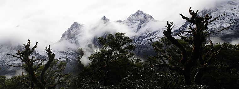mountains, trees, fog - desktop wallpaper
