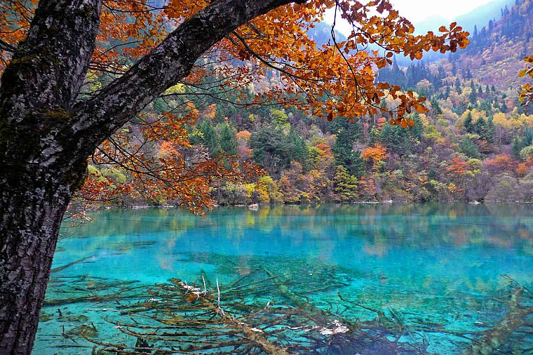 nature, China, lakes, National Park, Blue Lagoon - desktop wallpaper