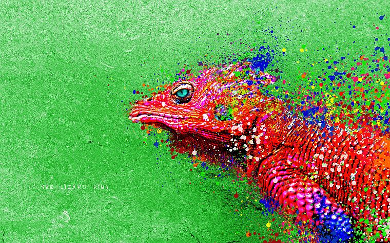 paintings, lizards, reptiles, iguana, colors - desktop wallpaper