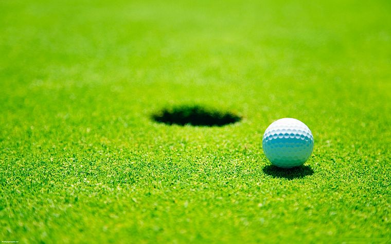 green, grass, golf, depth of field, golf balls - desktop wallpaper