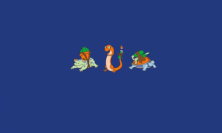 Pokemon, Bulbasaur, turtles, Squirtle, lizards, frogs, Charmander - desktop wallpaper