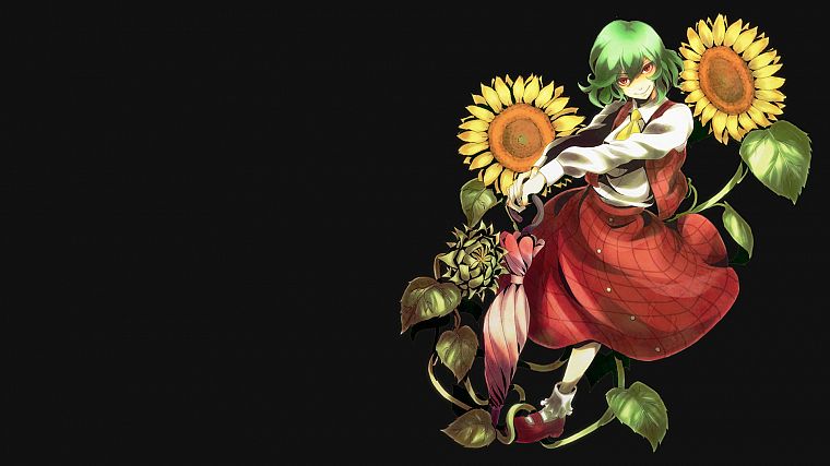 Touhou, dress, green eyes, Kazami Yuuka, simple background, anime girls - desktop wallpaper