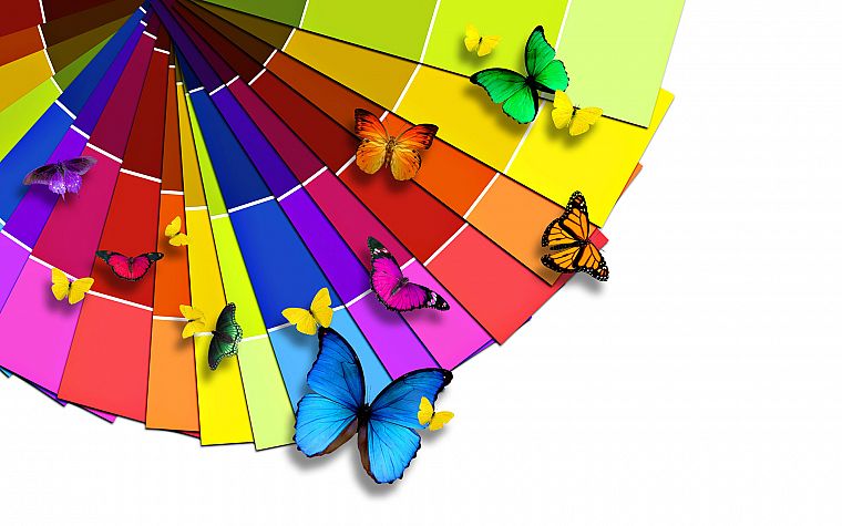 multicolor, rainbows, butterflies - desktop wallpaper