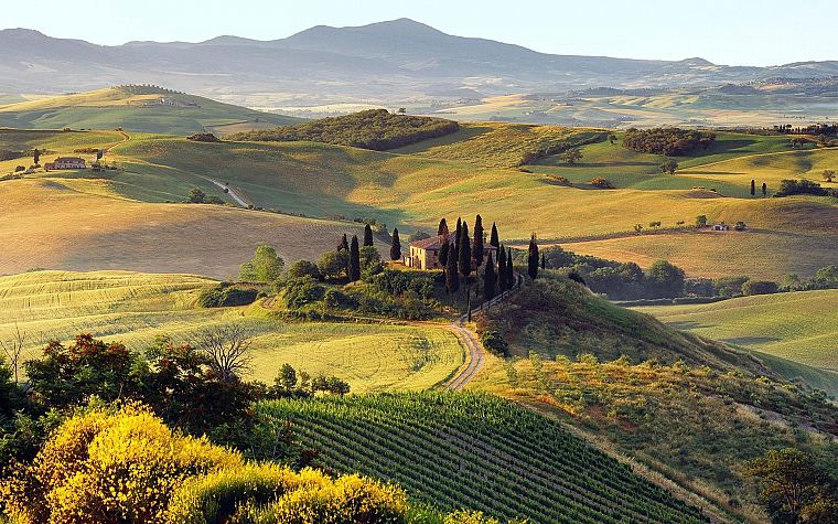 landscapes, fields, Tuscany - desktop wallpaper