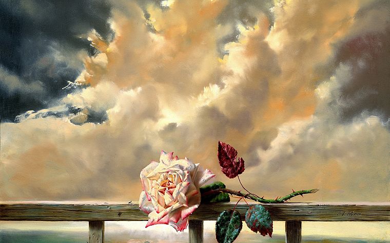 roses - desktop wallpaper