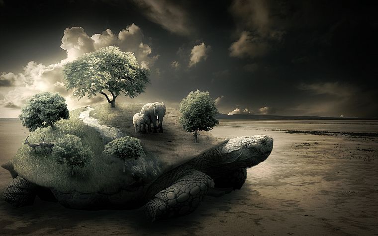 nature, trees, turtles, elephants, photo manipulation - desktop wallpaper