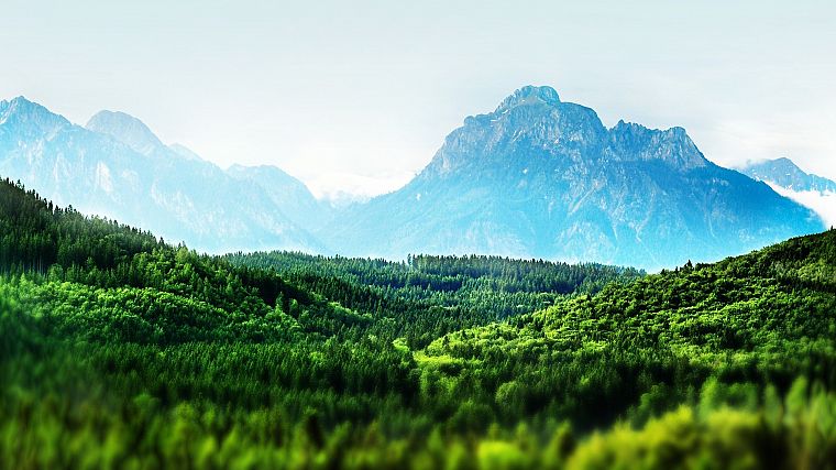 mountains, landscapes, forests, Bavaria, tilt-shift - desktop wallpaper