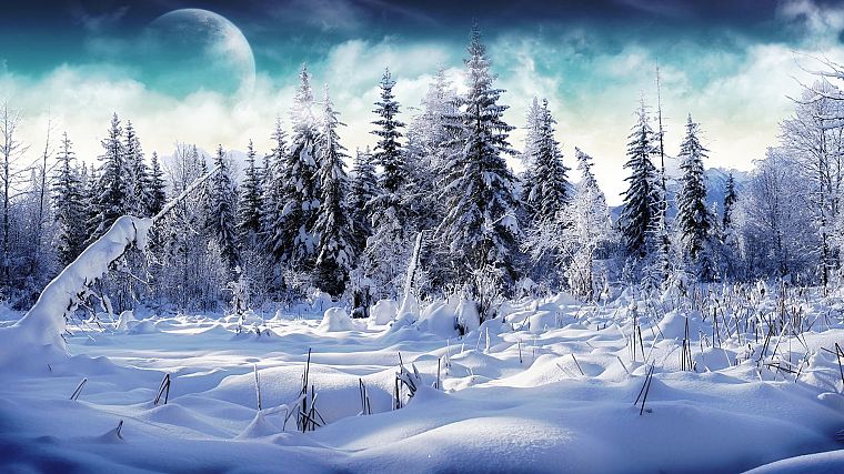 landscapes, nature, winter, snow, trees - desktop wallpaper