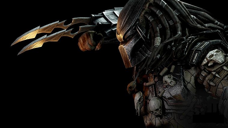 predator, Aliens vs Predator movie - desktop wallpaper