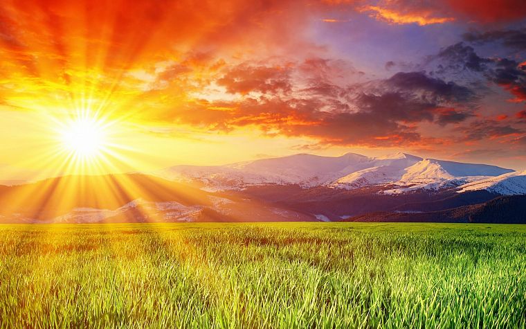 landscapes, nature, fields, sunlight, sun flare - desktop wallpaper
