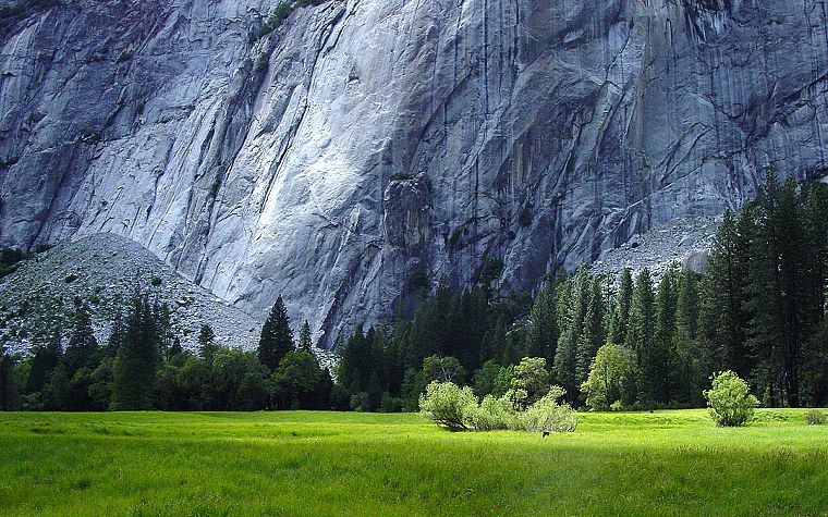 mountains, nature, trees, grass, rocks, Yosemite National Park - desktop wallpaper