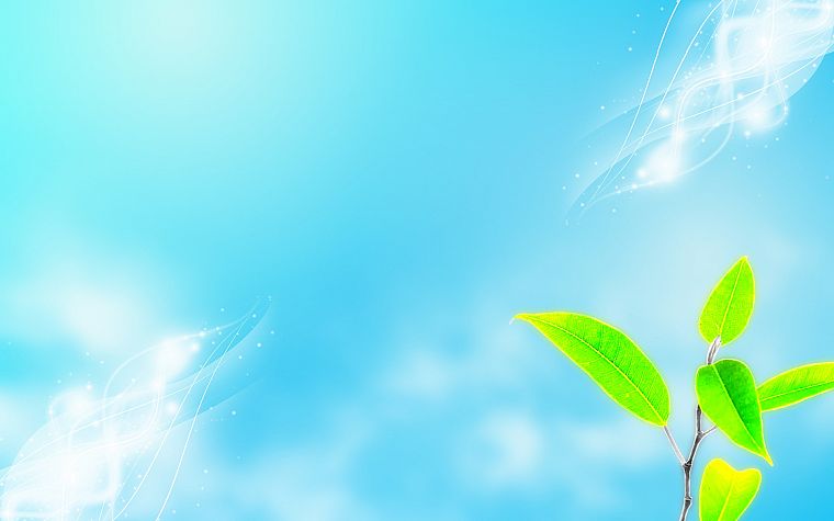 leaf, skyscapes - desktop wallpaper