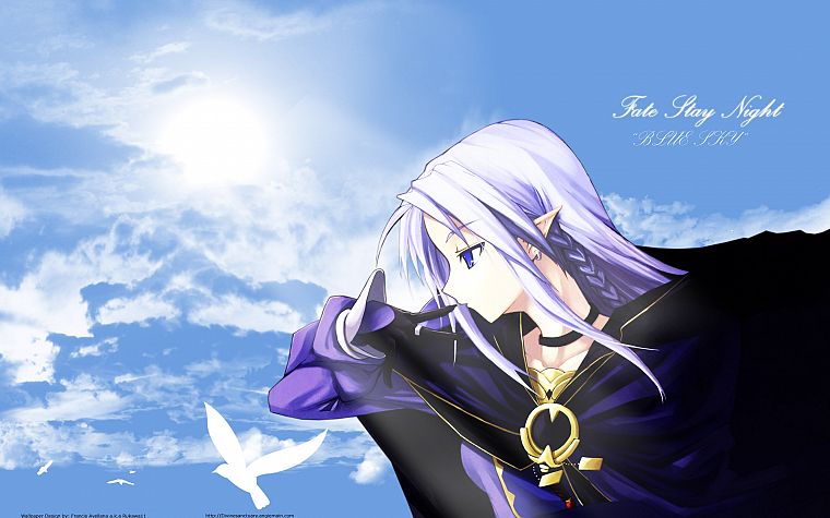 Fate/Stay Night, Caster (Fate/Stay Night), Fate series, Shingo (Missing Link) - desktop wallpaper