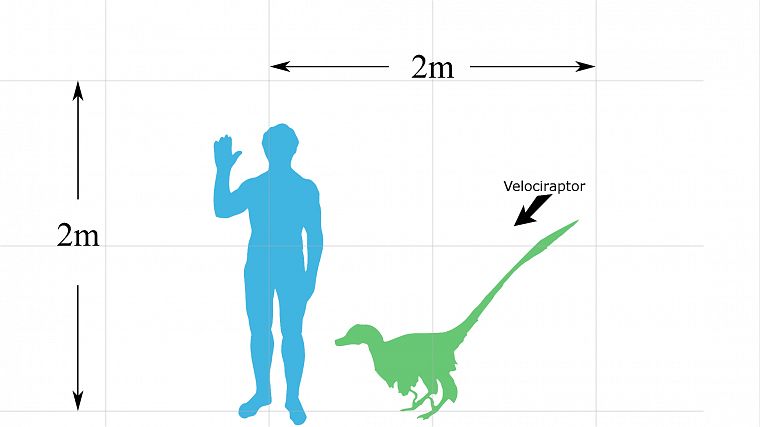 dinosaurs, velociraptor, simplistic - desktop wallpaper