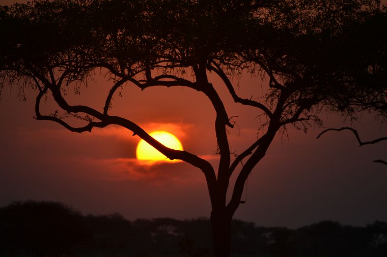 sunset, Africa - desktop wallpaper