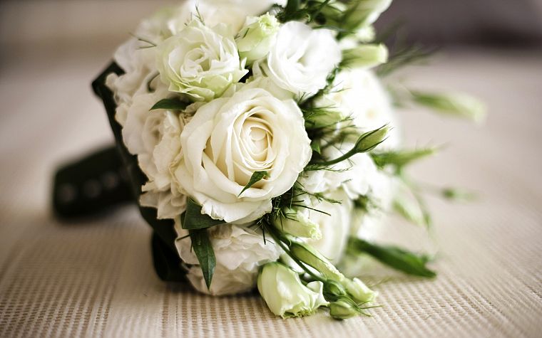 flowers, bouquet, white roses - desktop wallpaper