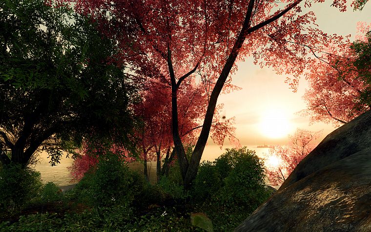 landscapes, nature, trees, forests, digital art, 3D renders - desktop wallpaper