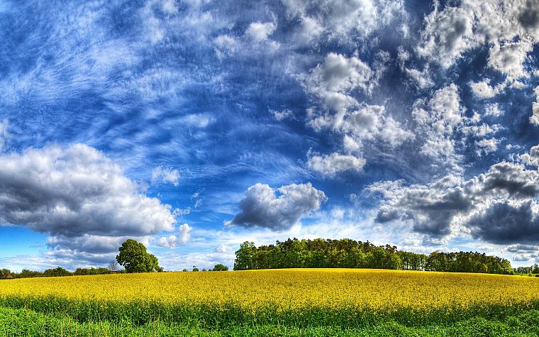 clouds, landscapes, grass, fields, HDR photography - desktop wallpaper