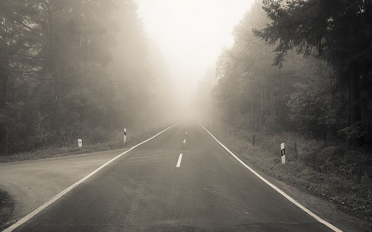 fog, mist, roads - desktop wallpaper
