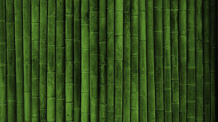 bamboo, textures - desktop wallpaper