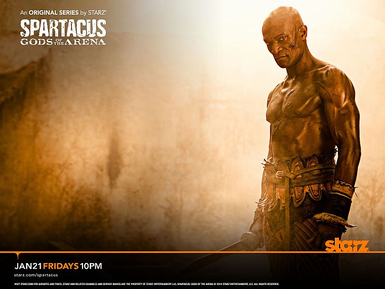 Spartacus, Oenomaus, Doctore, Spartacus: Gods of the Arena, Peter Mensah - desktop wallpaper