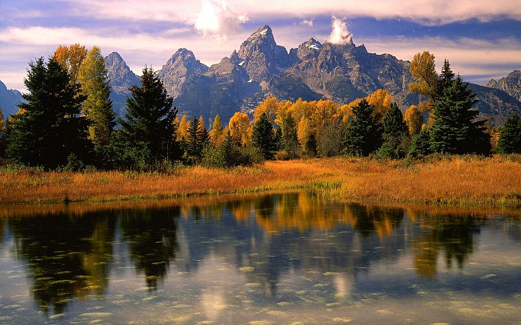 nature, autumn - desktop wallpaper