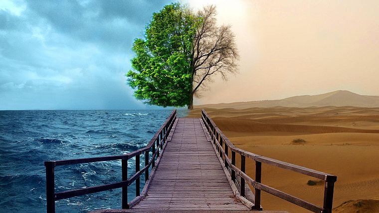 ocean, trees, deserts, bridges - desktop wallpaper