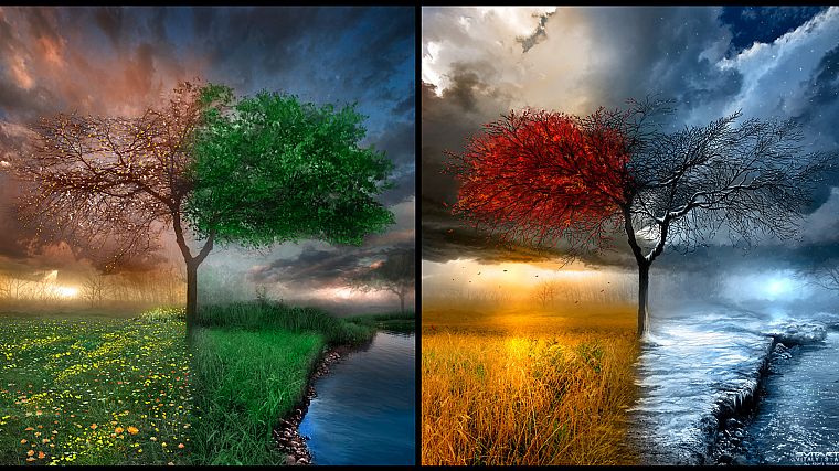 landscapes, winter, trees, autumn, artistic, seasons, summer, spring, rainbows - desktop wallpaper