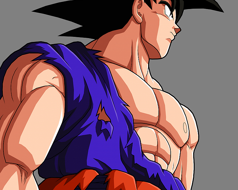 Goku, anime, Dragon Ball Z - desktop wallpaper