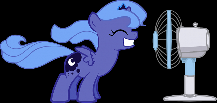 My Little Pony, ponies, Princess Luna, My Little Pony: Friendship is Magic, fans - desktop wallpaper