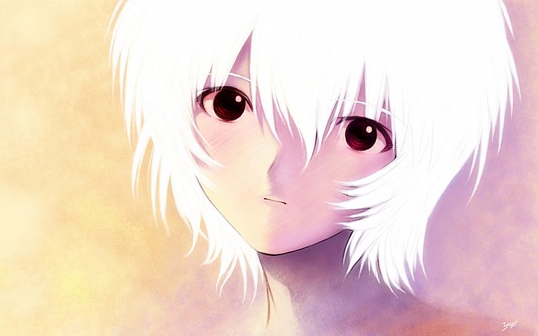 Ayanami Rei, Neon Genesis Evangelion, anime girls - desktop wallpaper