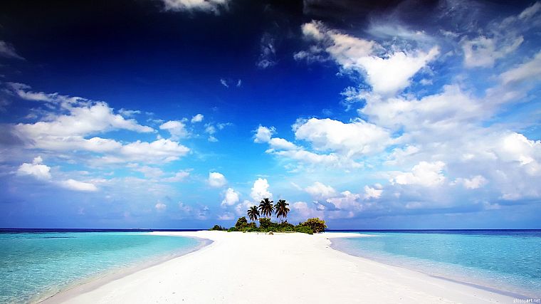 islands, palm trees, sea - desktop wallpaper