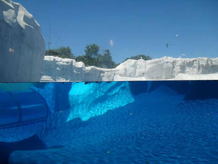 icebergs, split-view - desktop wallpaper