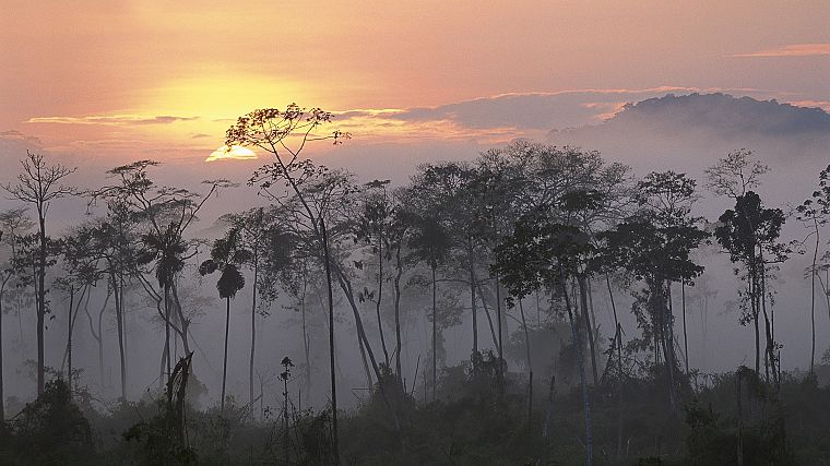 dawn, Peru, amazon, rivers - desktop wallpaper