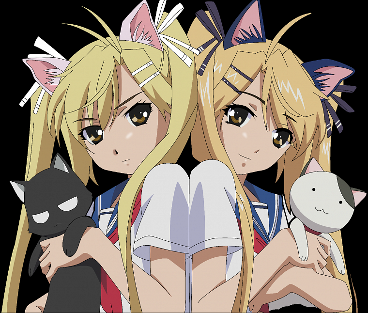 vectors, school uniforms, nekomimi, transparent, animal ears, Nyan Koi, anime, Kirishima Akari, anime vectors, Kirishima Kotone - desktop wallpaper