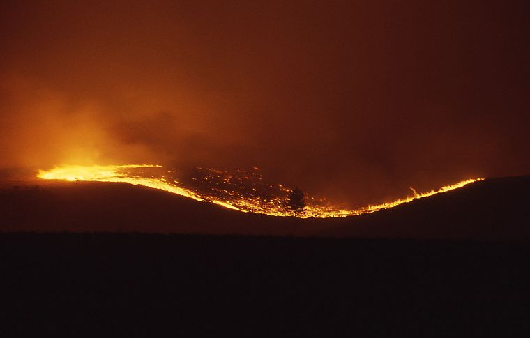 fire, lava, forest fire - desktop wallpaper
