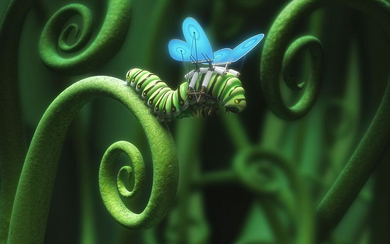 wings, caterpillars, butterflies - desktop wallpaper