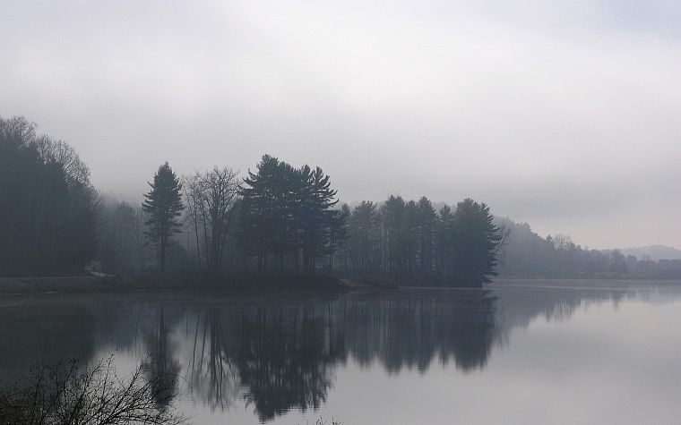 water, trees, fog, mist, lakes, rivers, reflections - desktop wallpaper