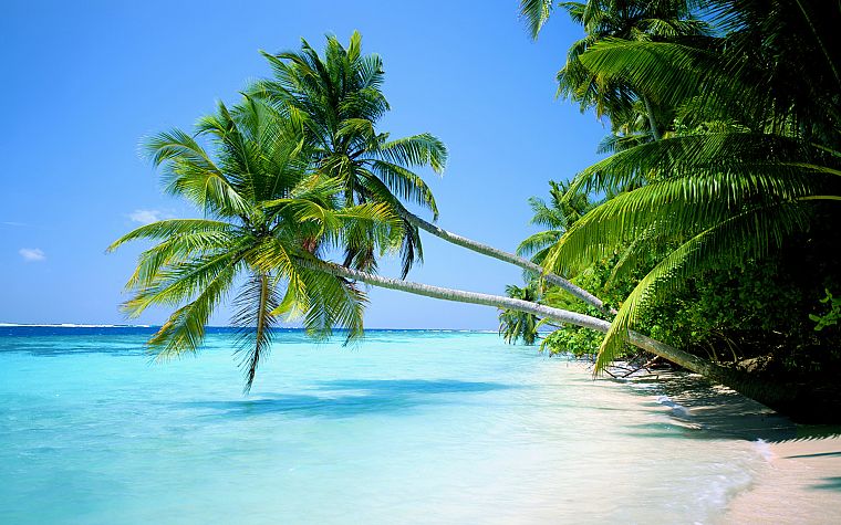 ocean, landscapes, nature, tropical, islands, palm trees, beaches - desktop wallpaper