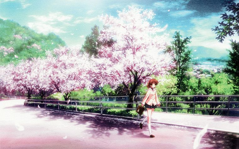 cherry blossoms, Clannad, Furukawa Nagisa - desktop wallpaper