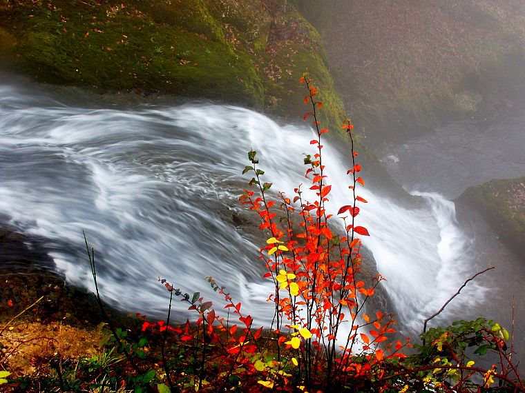 nature, grass, waterfalls - desktop wallpaper