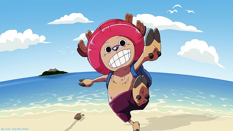 One Piece (anime), chopper - desktop wallpaper