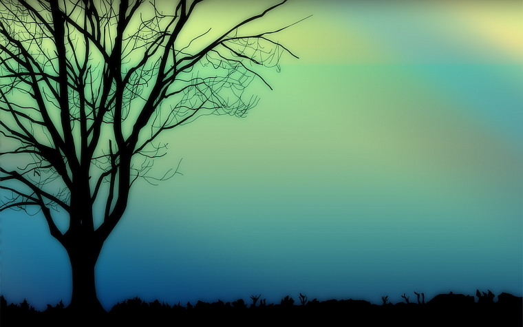 trees, silhouettes - desktop wallpaper