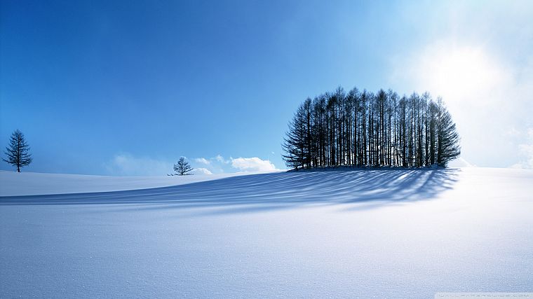 landscapes, winter, snow, trees, sunlight, snow landscapes - desktop wallpaper
